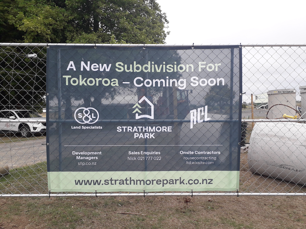 Newsletter Vol. 5 — Summer 2025 — image 3